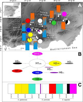 Influence of the Quaternary Glacial Cycles and the Mountains on the Reticulations in the Subsection Willkommia of the Genus Centaurea